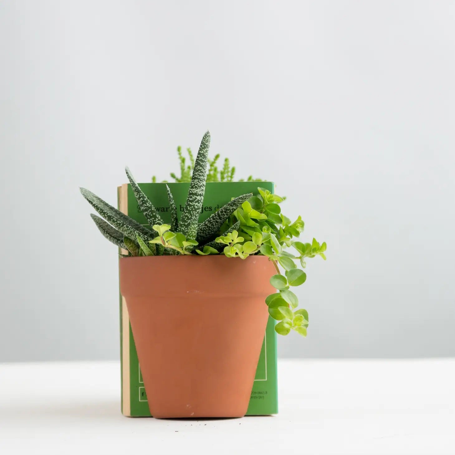 plant pot bookends Plant Pot Bookend