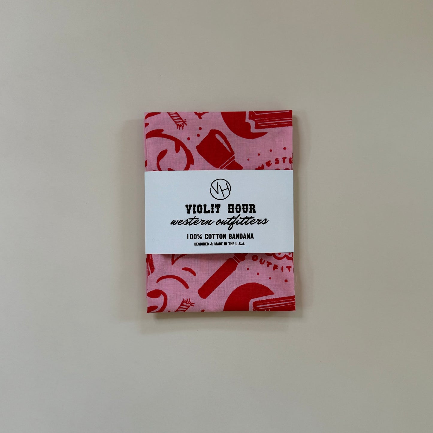 Wild Steeds & Spicy Reads Bandana