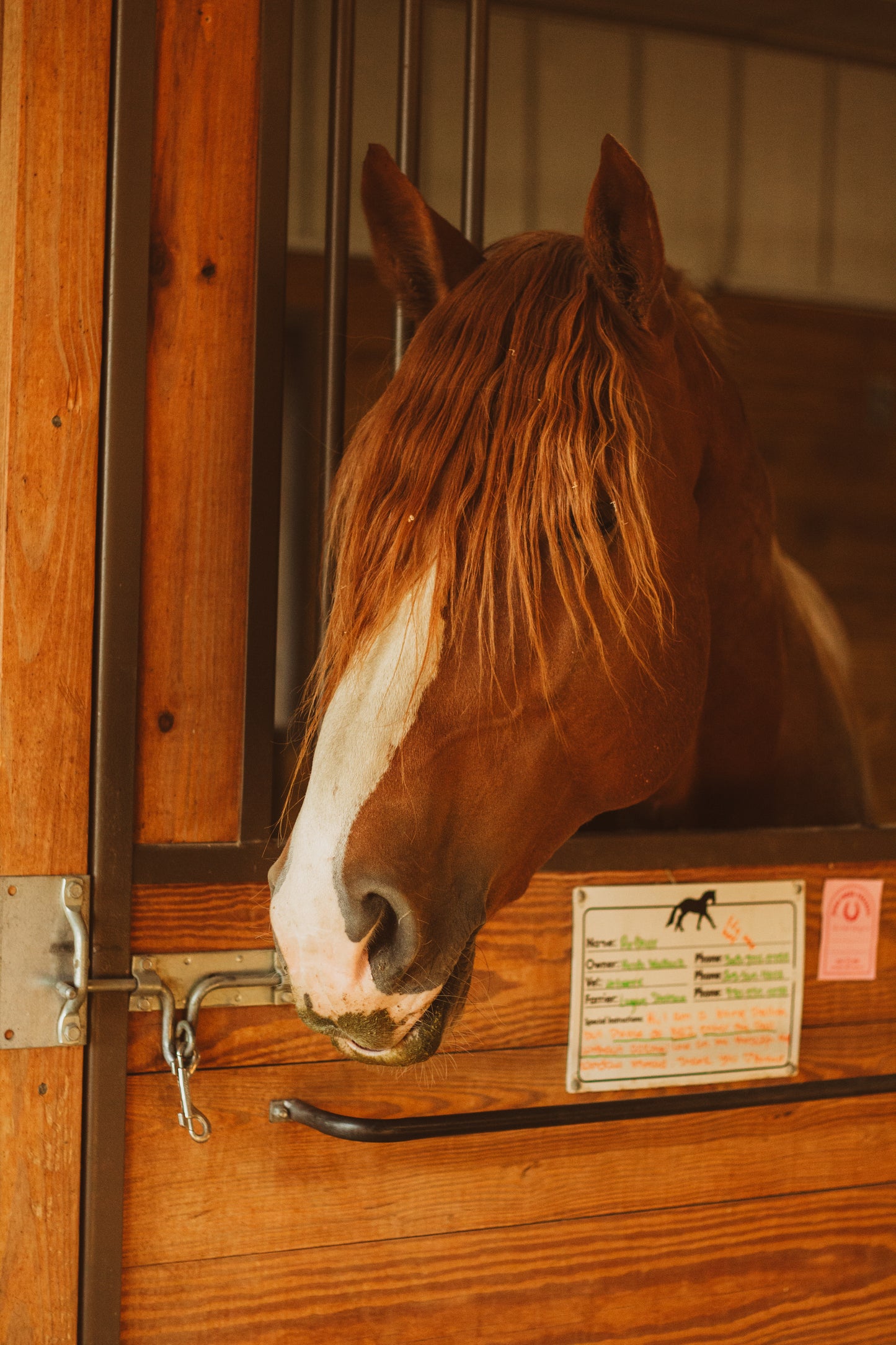 Whoa There Pardner Book Plate